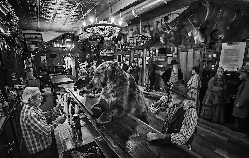 Photo Caption Competition: “A bear walks into a bar…”