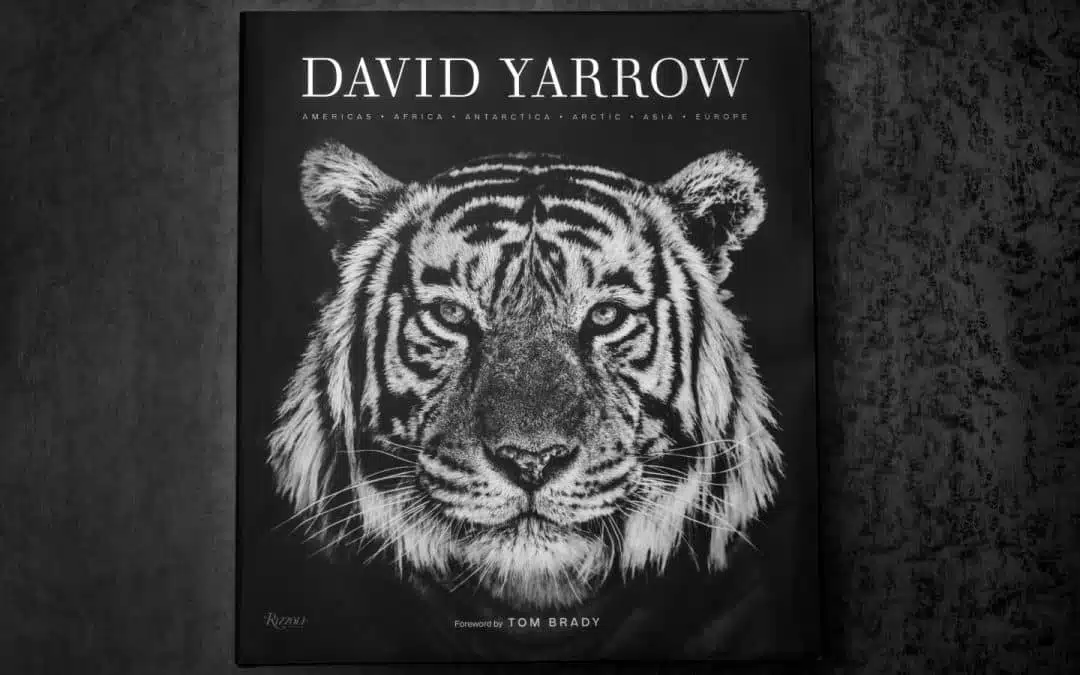 David Yarrow: Book Launch